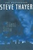 Silent Snow | Thayer, Steve | First Edition Book